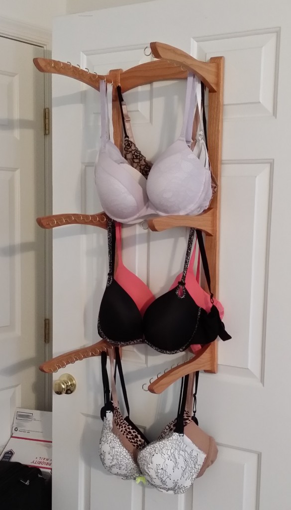 Julie's bra rack, partially populated.